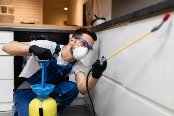 Best Best Pest Control Companies  in Spencerville, NM