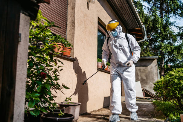 Best Rat Extermination Near Me  in Spencerville, NM