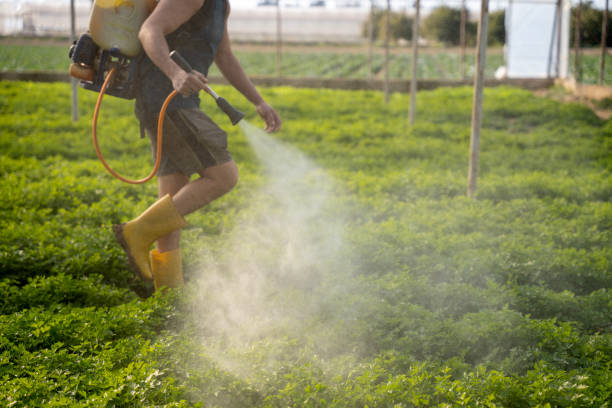 Pest Prevention Services in Spencerville, NM