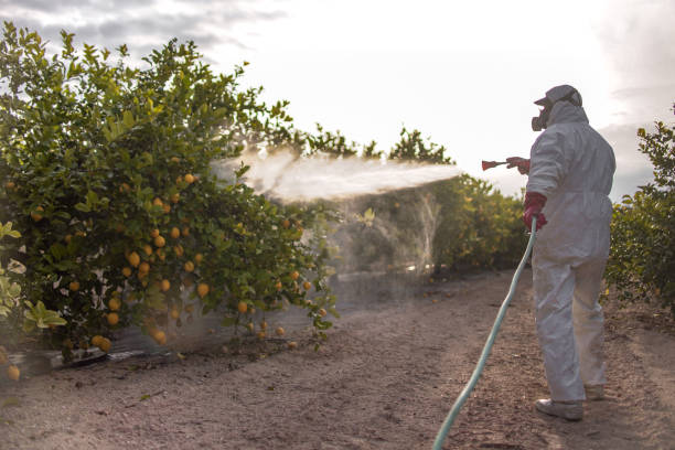 Pest Prevention Services in Spencerville, NM