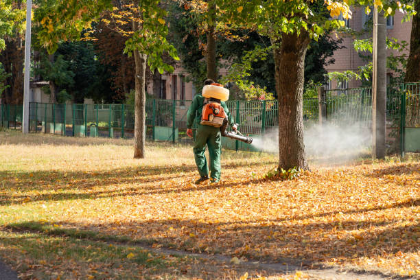 Best Bed Bug Extermination  in Spencerville, NM