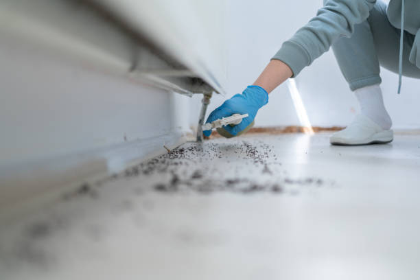 Pest Control for Restaurants in Spencerville, NM